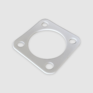 Gasket for level switches